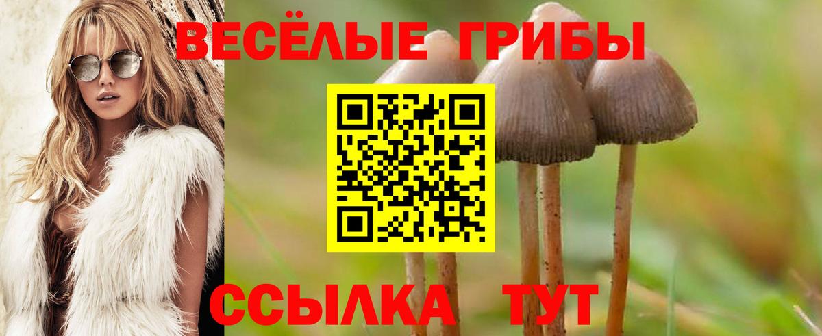 Псилоцибиновые грибы GOLDEN TEACHER  Вход с VPN  Галлюциногенные грибы Psilocybine cubensis  Керчь 